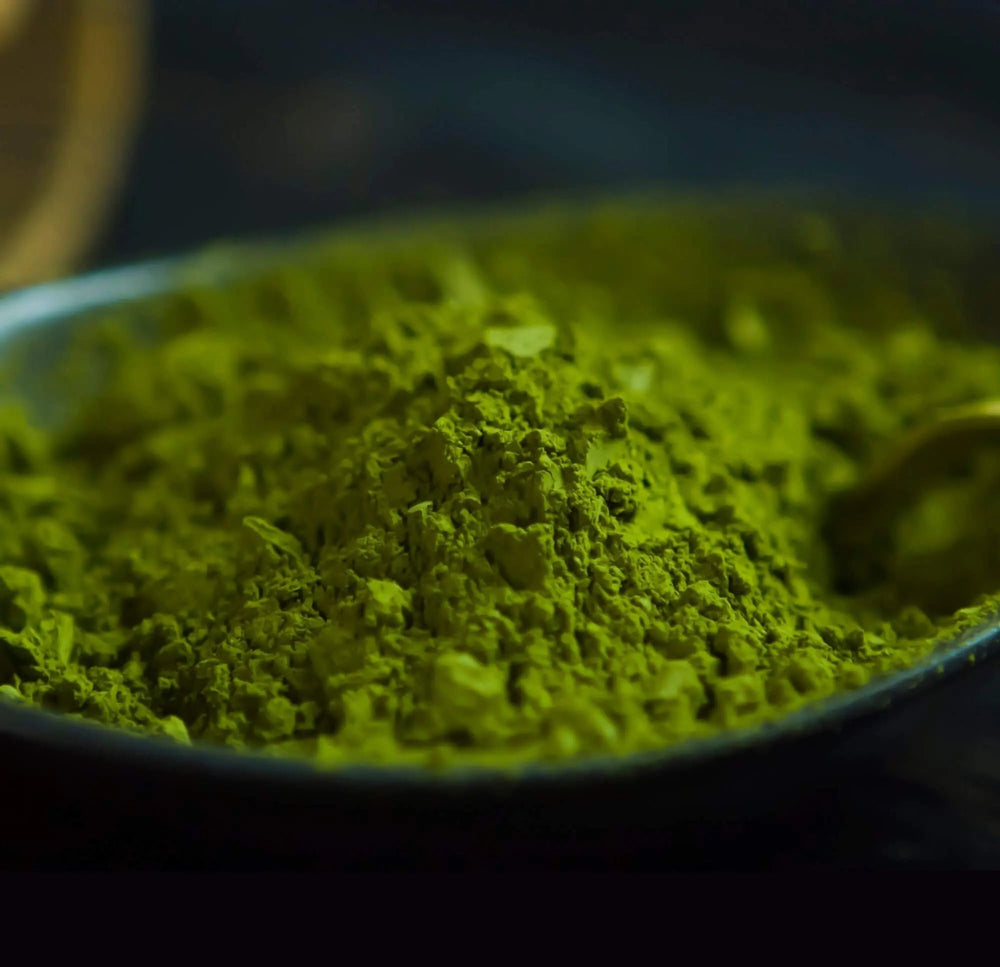 Ceremonial-style matcha whisked in a tea bowl