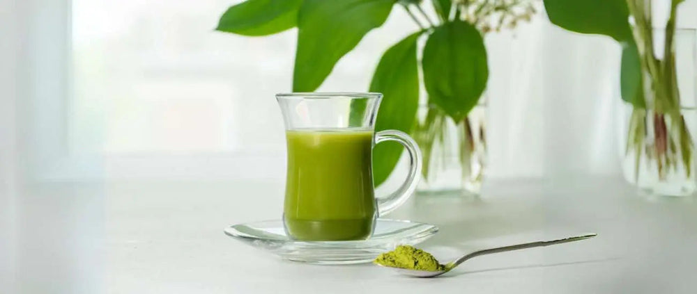 Step-by-step matcha preparation with sifted powder and bamboo whisk