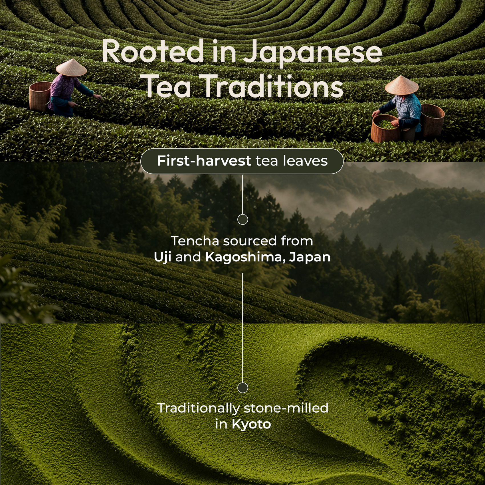 Kyoto Teien | Premium Organic Ceremonial Grade Matcha | 30g Tin