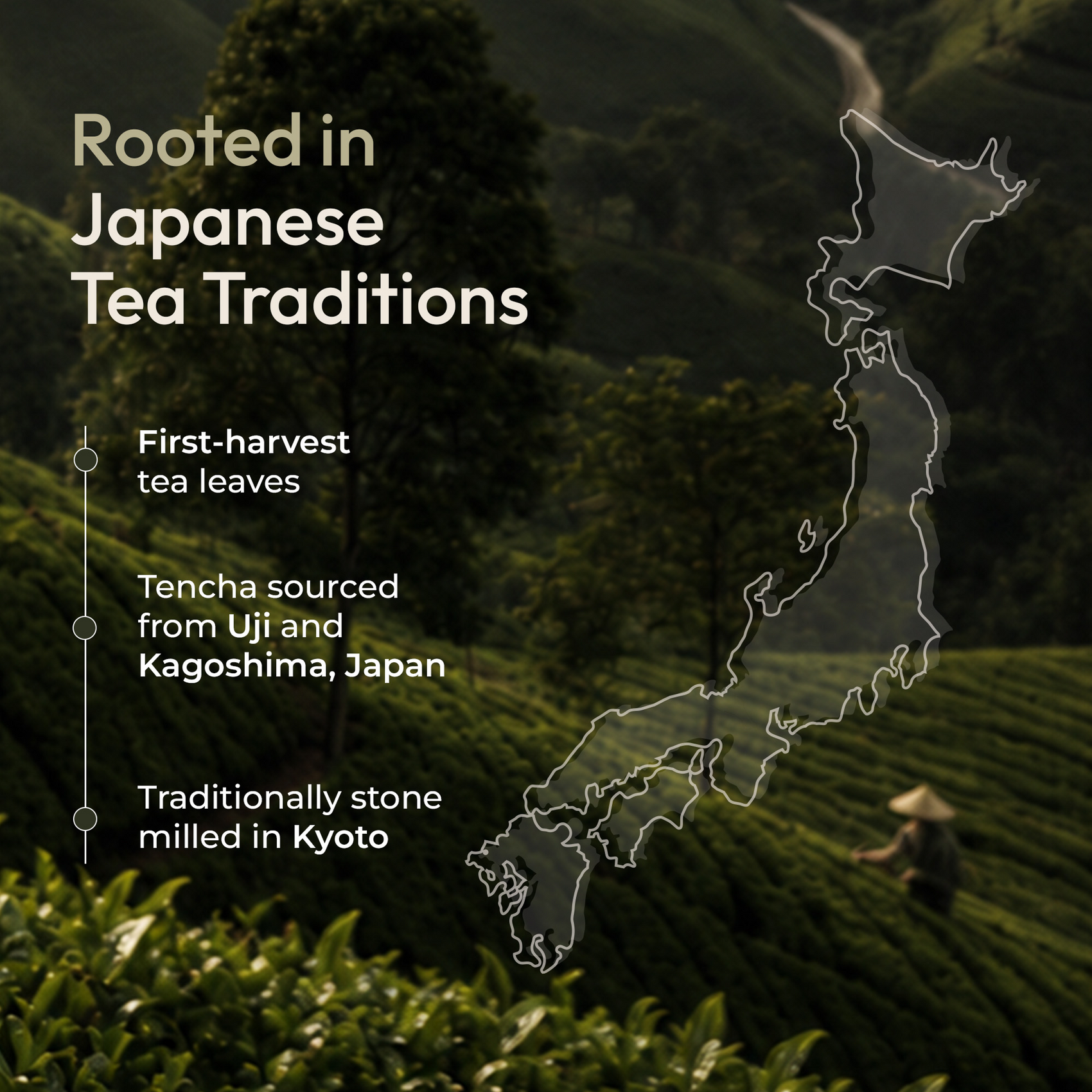 Promotional graphic for Tencha tea leaves, featuring a scenic background of a Japanese tea plantation with a worker in a conical hat. White text on the left reads 'Rooted in Japanese Tea Traditions' and lists key sourcing and milling locations, alongside a white outline map of Japan.