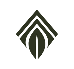 Tay Leaf